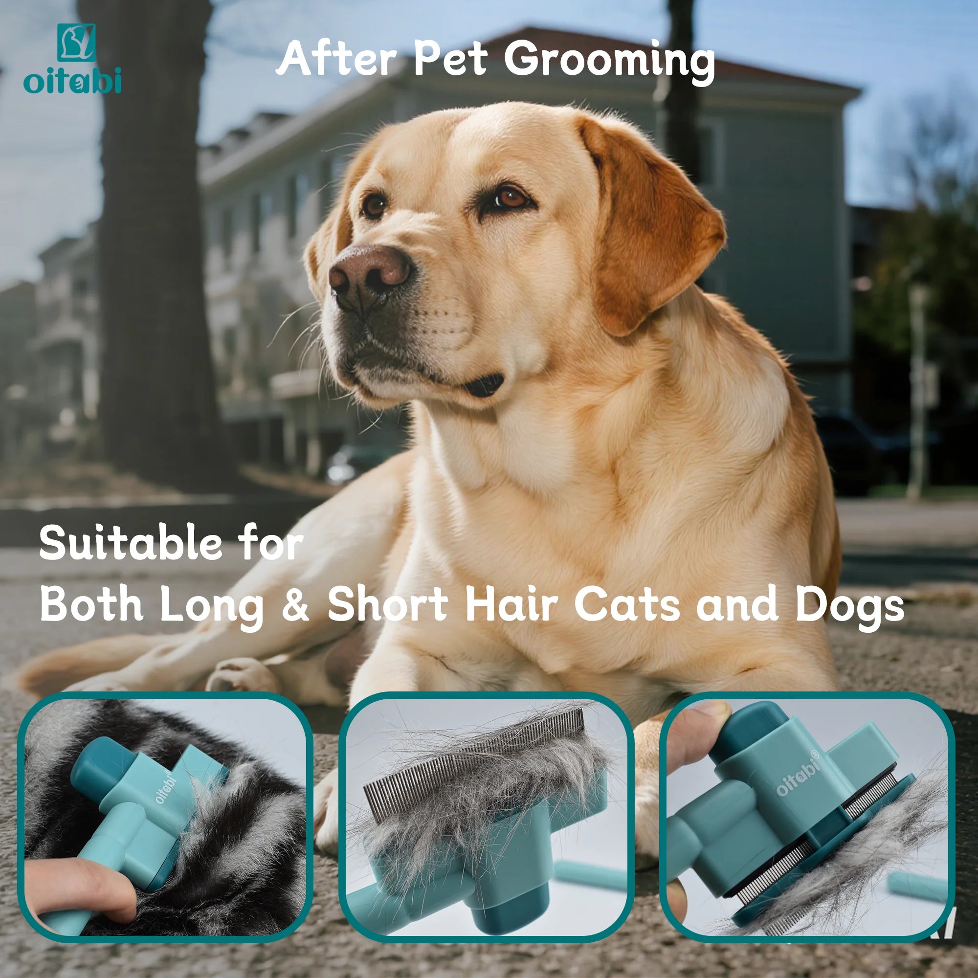 Peigne Anti-Puces Auto-Nettoyant pour Chiens et Chats