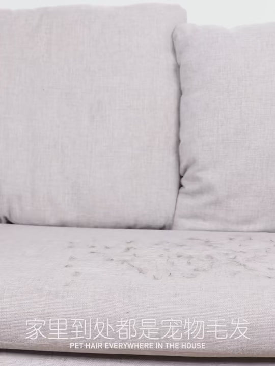 Brosse Anti-Poils pour Animaux avec Poignée – Éliminateur de Poils de Chien et Chat pour Voitures, Tapis, Canapés, Vêtements et Lits